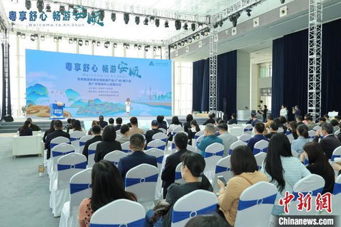 嶺南風韻，活力羊城 社會組織打造特色文旅項目，點燃城市文化新熱度